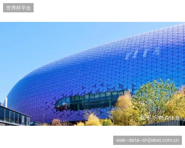 建筑师关注空间美学，体育顾问关注运动功能，二者在玻璃墙接口处的协同缺失，正在制造大量体验不佳的场地